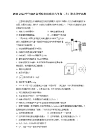 2021-2022学年山西省晋城市阳城县九年级（上）期末化学试卷（含答案解析）