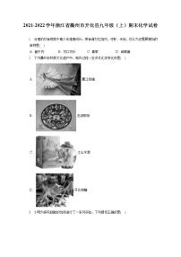 2021-2022学年浙江省衢州市开化县九年级（上）期末化学试卷（含答案解析）