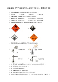 2021-2022学年广东省梅州市大埔县九年级（上）期末化学试卷（含详细答案解析）