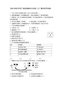 2021-2022学年广东省深圳市九年级（上）期末化学试卷（含详细答案解析）