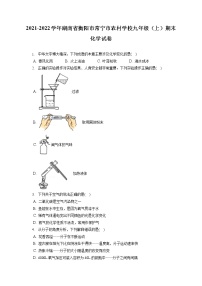 2021-2022学年湖南省衡阳市常宁市农村学校九年级（上）期末化学试卷（含详细答案解析）