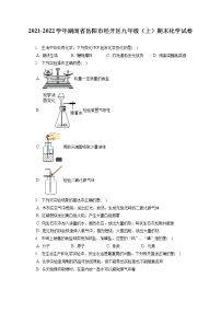 2021-2022学年湖南省岳阳市经开区九年级（上）期末化学试卷（含详细答案解析）