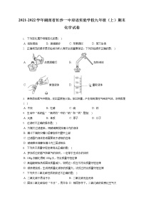 2021-2022学年湖南省长沙一中双语实验学校九年级（上）期末化学试卷（含详细答案解析）