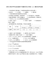 2021-2022学年山东省济宁市曲阜市九年级（上）期末化学试卷（含详细答案解析）