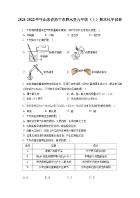 2021-2022学年山东省济宁市泗水县九年级(上)期末化学试卷(含详细答案解析)