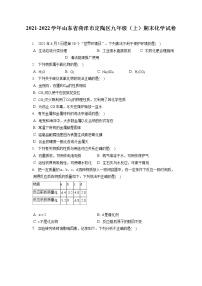 2021-2022学年山东省菏泽市定陶区九年级（上）期末化学试卷（含详细答案解析）