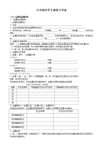 九年级化学下册复习学案