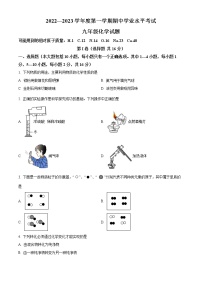 山东省济宁市嘉祥县2022-2023学年九年级上学期期中化学试题(含答案)