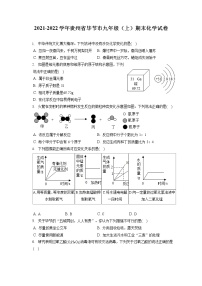 2021-2022学年贵州省毕节市九年级（上）期末化学试卷（含答案解析）