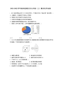 2021-2022学年贵州省遵义市九年级（上）期末化学试卷（含答案解析）