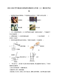 2021-2022学年黑龙江省鸡西市虎林市九年级（上）期末化学试卷（含答案解析）