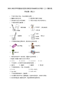 2021-2022学年黑龙江省齐齐哈尔市讷河市九年级（上）期末化学试卷（线上）（含答案解析）