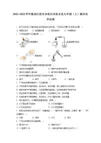 2021-2022学年黑龙江省齐齐哈尔市依安县九年级（上）期末化学试卷（含答案解析）