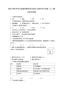 2021-2022学年云南省昆明市东川区红土地中学九年级（上）期末化学试卷（含答案解析）