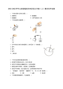 2021-2022学年云南省临沧市凤庆县九年级（上）期末化学试卷（含答案解析）