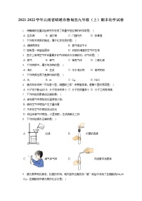 2021-2022学年云南省昭通市鲁甸县九年级（上）期末化学试卷（含答案解析）