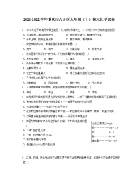 2021-2022学年重庆市合川区九年级（上）期末化学试卷（含答案解析）