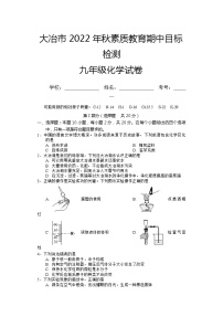 湖北省黄石市大冶市2022-2023学年九年级上学期期中目标检测化学试题（含答案）