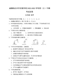 四川省成都市第四十三中学2022-2023学年九年级上学期期中考试化学试题（含答案）