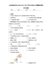 江苏省苏州市太仓市2022-2023学年九年级上学期期末模拟化学试题 (含答案)