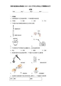 陕西省渭南市澄城县2021-2022学年九年级上学期期末化学试题(含答案)