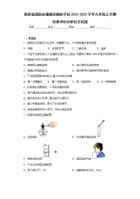 陕西省渭南市蒲城县城南学校2022-2023学年九年级上学期结业评估分析化学试题(含答案)