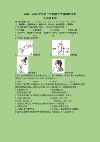 河南省周口市郸城县2022-2023学年九年级上学期期中化学试题