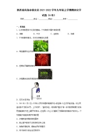 陕西省商洛市镇安县2021-2022学年九年级上学期期末化学试题（A卷）(含答案)