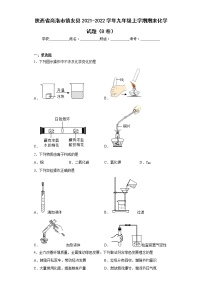 陕西省商洛市镇安县2021-2022学年九年级上学期期末化学试题（B卷(含答案)