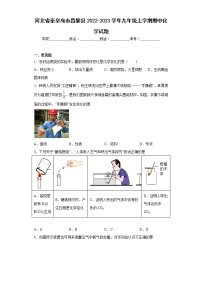 河北省秦皇岛市昌黎县2022-2023学年九年级上学期期中化学试题(含答案)