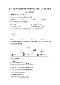 2020-2021学年湖北省武汉外国语学校九年级（上）月考化学试卷（12月份）