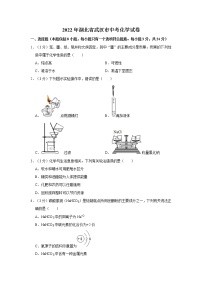 2022年湖北省武汉市中考化学试卷