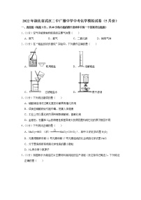 2022年湖北省武汉二中广雅中学中考化学模拟试卷（5月份）