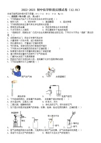 河南省洛阳市第二外国语学校2022-2023学年九年级上学期期中化学试卷(含答案)