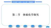 化学九年级上册第二节 体验化学探究习题ppt课件