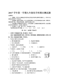 广东省广州市番禺区2018届九年级上学期期末考试化学试题