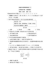 人教版九年级化学下册中考学情评估(二)含答案