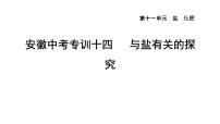 人教版九年级化学下册第十一单元中考专训十四与盐有关的探究课件