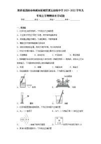 陕西省渭南市韩城市新城区第五初级中学2021-2022学年九年级上学期期末化学试题(含答案)