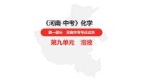 中考总复习化学（河南地区）9.第九单元 溶液课件