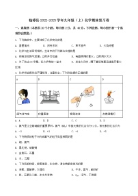 河北省临漳县2022-2023学年九年级（上）化学期末复习卷【含答案及详细解析】