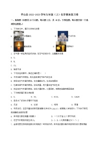 河北省平山县2022-2023学年九年级（上）化学期末复习卷【含答案及详细解析】