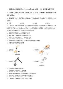 河北省秦皇岛市山海关区2022-2023学年九年级（上）化学期末复习卷【含答案及详细解析】