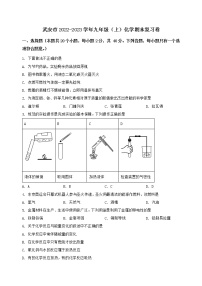 河北省武安市2022-2023学年九年级（上）化学期末复习卷【含答案及详细解析】