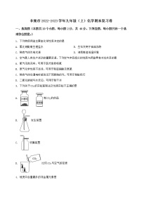河北省辛集市2022-2023学年九年级（上）化学期末复习卷【含答案及详细解析】