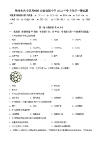 常州市天宁区常州市实验初级中学2022年中考化学一模试题（含解析）
