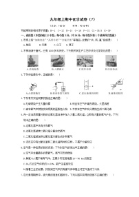 人教版化学九上 九年级上期中化学试卷（7）（含答案）