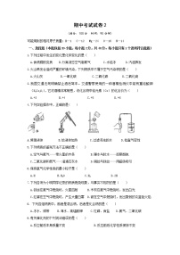 鲁教版化学九上 期中考试试卷2（含答案）