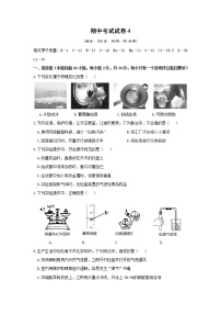 鲁教版化学九上 期中考试试卷4（含答案）