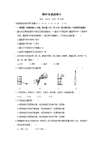 鲁教版化学九上 期中考试试卷8（含答案）